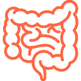 Digestion Support